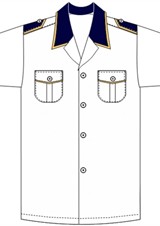 _grande_FL718C01 FRENTE