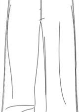 _grande_PA205C08 TRASERO