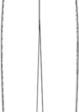 _grande_PA229C00 TRASERO