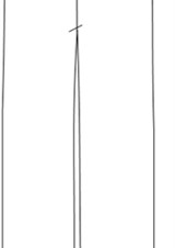 _grande_PA238D01 TRASERO